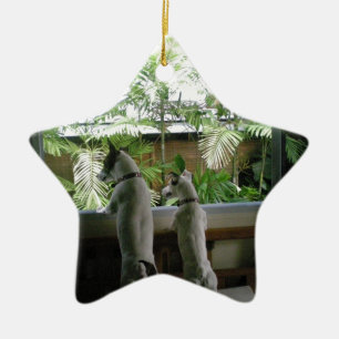 Jack Russell Terrier Ceramic Tree Decoration