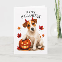 Jack Russell Terrier Devil Dog