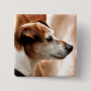 JACK RUSSELL TERRIER DOG 15 CM SQUARE BADGE