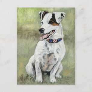 Jack Russell Terrier Dog Art Postcard