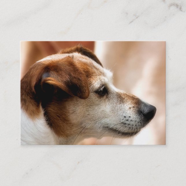 JACK RUSSELL TERRIER DOG BUSINESS CARD (Front)