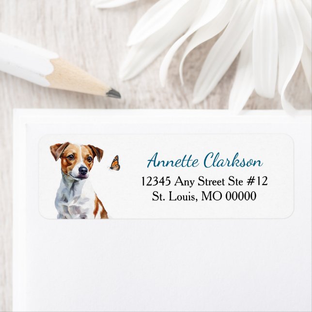 Jack Russell Terrier Dog Butterfly Wonder (Insitu)