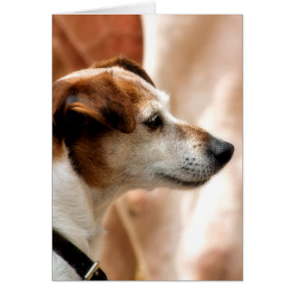 JACK RUSSELL TERRIER DOG CARD