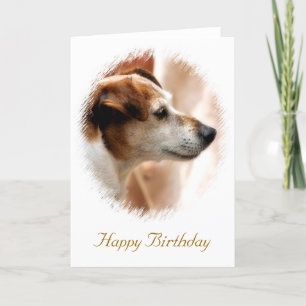 JACK RUSSELL TERRIER DOG CARD