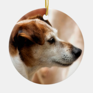 JACK RUSSELL TERRIER DOG CERAMIC TREE DECORATION