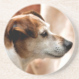 JACK RUSSELL TERRIER DOG COASTER
