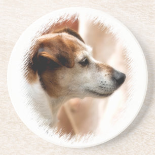 JACK RUSSELL TERRIER DOG COASTER