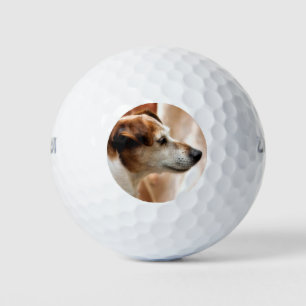 JACK RUSSELL  TERRIER DOG GOLF BALLS
