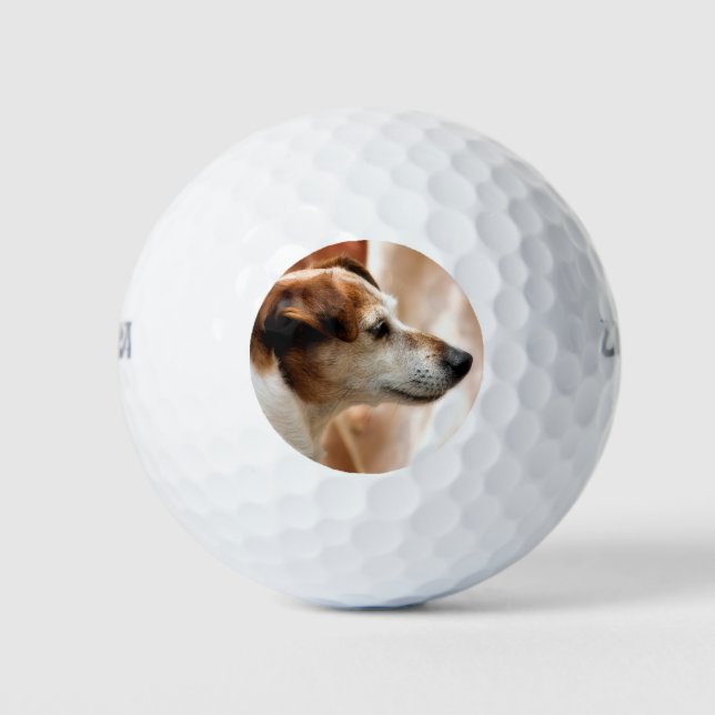 JACK RUSSELL  TERRIER DOG GOLF BALLS (Front)