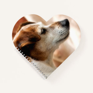 JACK RUSSELL TERRIER DOG NOTEBOOK