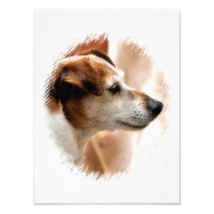 JACK RUSSELL TERRIER DOG PHOTO PRINT