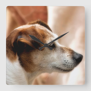 JACK RUSSELL TERRIER DOG SQUARE WALL CLOCK