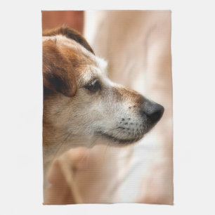 JACK RUSSELL TERRIER DOG TEA TOWEL