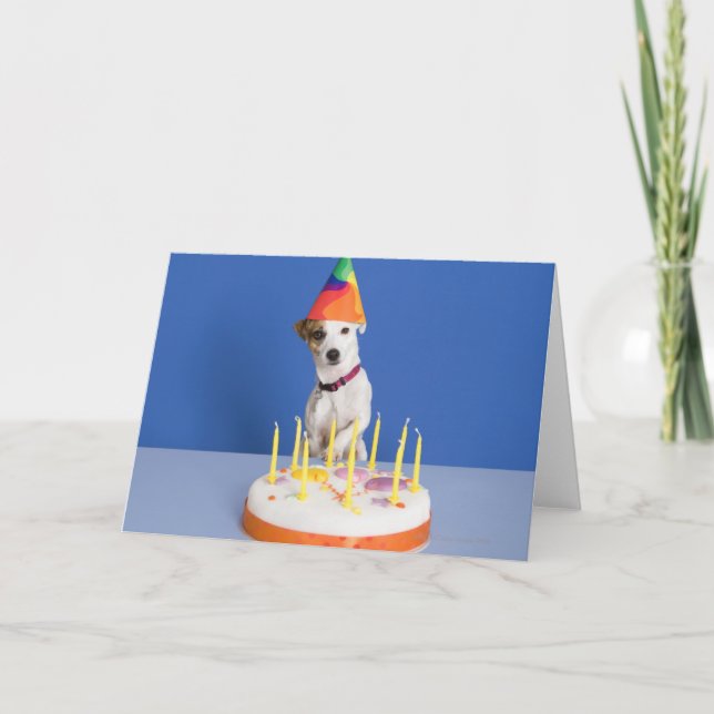 Jack Russell Terrier dog wearing party hat Card (Front)