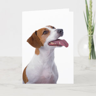 Jack Russell Terrier Friendship Card