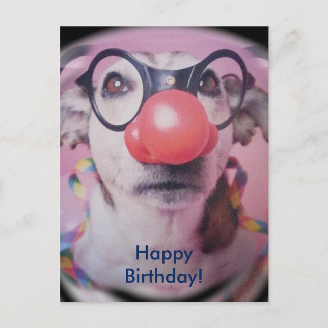 Jack Russell Terrier Happy Birthday Crazy Clown Postcard (Front)