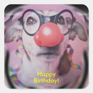 Jack Russell Terrier Happy Birthday Crazy Clown Square Sticker
