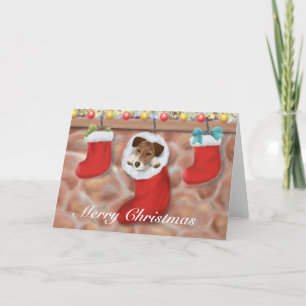 Jack Russell Terrier in a stocking Holiday Card