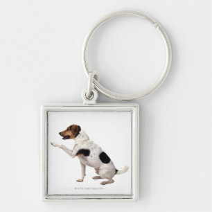 Jack Russell Terrier Lifting Paw Key Ring