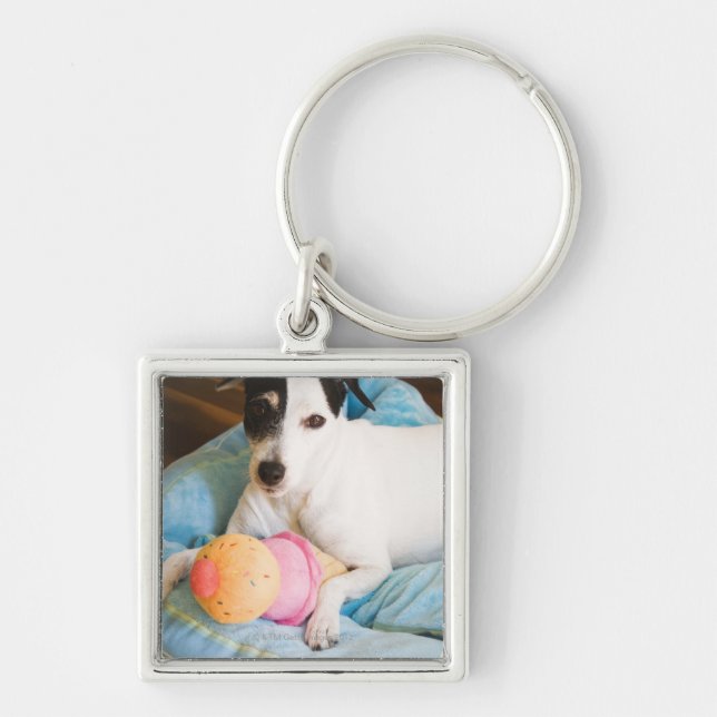 Jack russell terrier lying down key ring (Front)