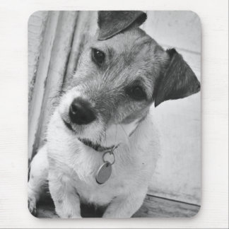 Jack Russell Terrier Mouse Mat
