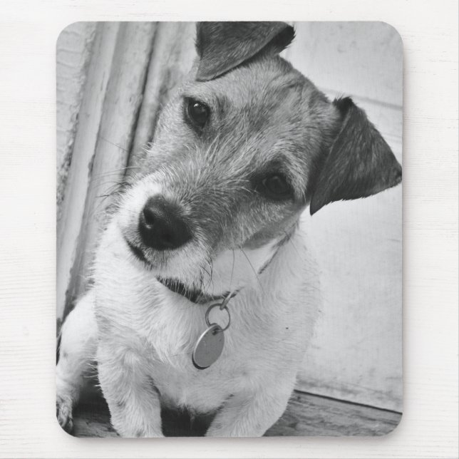 Jack Russell Terrier Mouse Mat (Front)