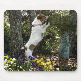 JACK RUSSELL TERRIER MOUSE MAT