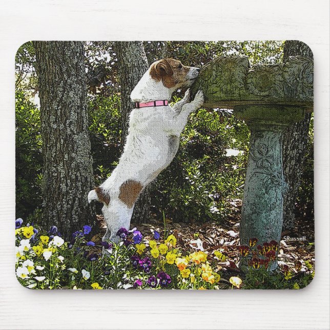 JACK RUSSELL TERRIER MOUSE MAT (Front)