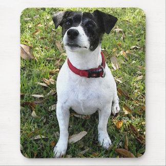 JACK RUSSELL TERRIER MOUSE MAT