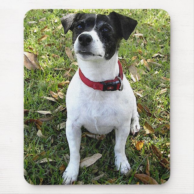 JACK RUSSELL TERRIER MOUSE MAT (Front)