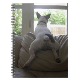 Jack Russell Terrier Notebook