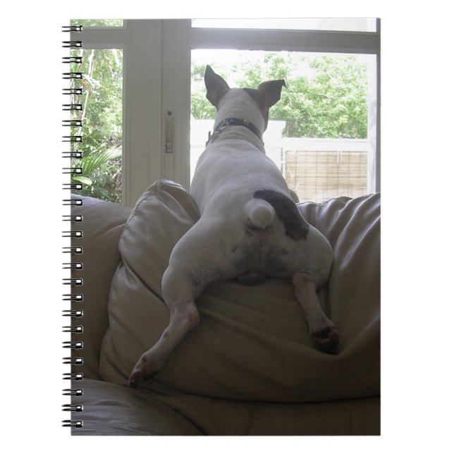 Jack Russell Terrier Notebook (Front)