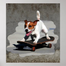 Jack Russell Terrier on Skateboard