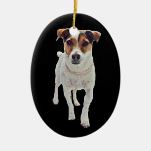 Jack Russell Terrier Ornament