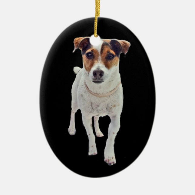 Jack Russell Terrier Ornament (Front)