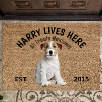Jack Russell Terrier Personalised Dog Lover  Doorm