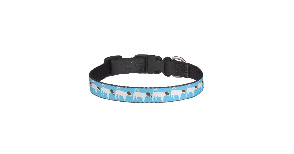 Jack Russell Terrier Pet Collar Zazzle.co.uk