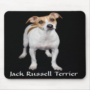 Jack Russell Terrier Portrait Mousepad