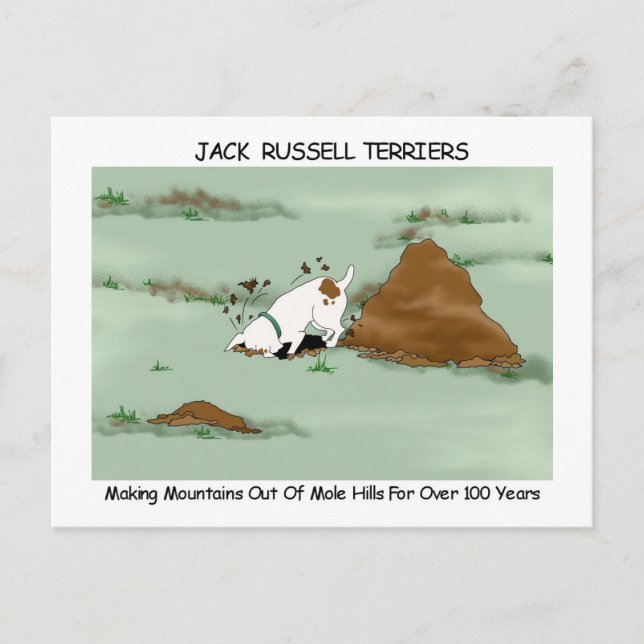 Jack Russell Terrier Postcard (Front)
