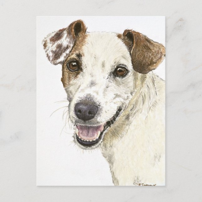 Jack Russell Terrier Postcard (Front)