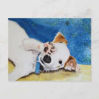 Jack Russell Terrier Postcard