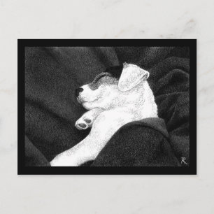 Jack Russell Terrier Pup Postcard - "Bliss"