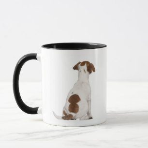 Jack Russell Terrier puppy (3 months old) Mug