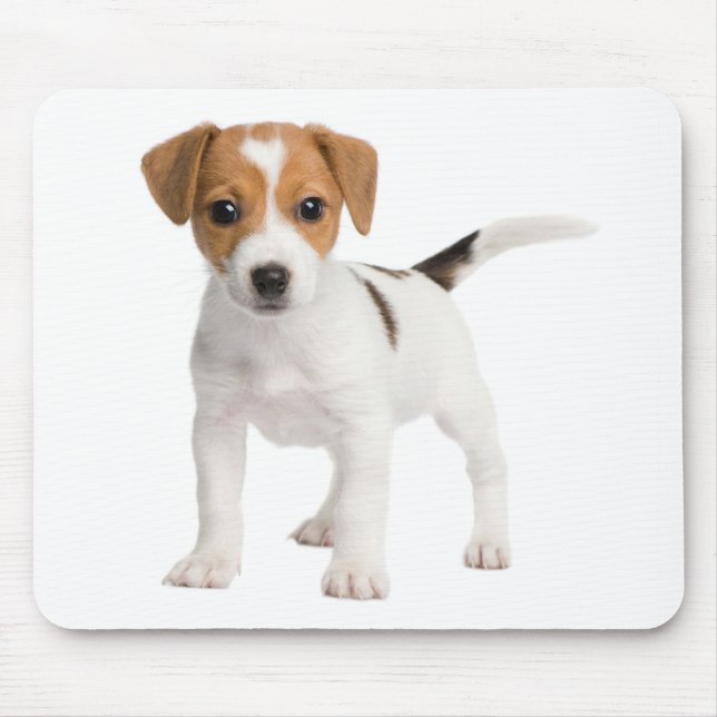 Jack Russell Terrier Puppy Brown And White Dog Mouse Mat (Front)