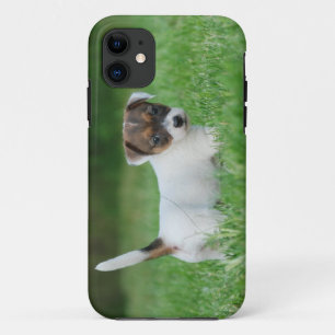 Jack Russell Terrier puppy iPhone 11 Case