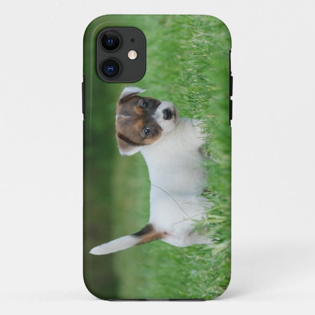 Jack Russell Terrier puppy Case-Mate iPhone Case (Back)