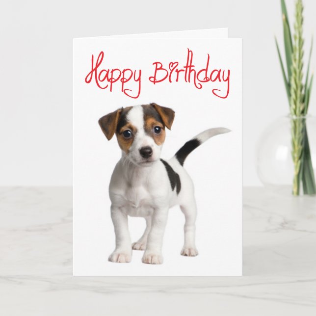 Jack Russell Terrier Puppy Dog Birthday Card (Front)