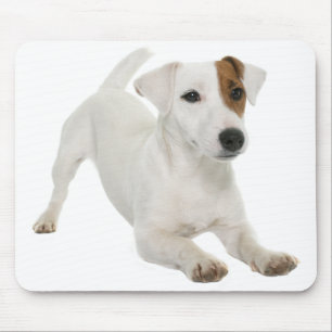 Jack Russell Terrier Puppy Dog Love Mouse Mat