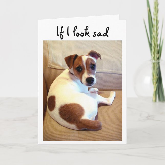 Jack Russell Terrier puppy greeting card (Front)
