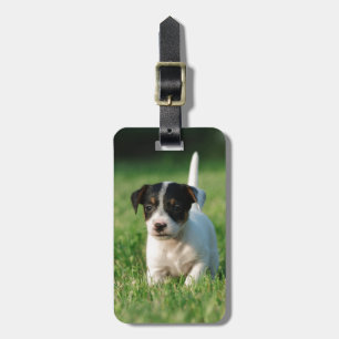 Jack Russell Terrier puppy Luggage Tag